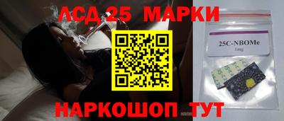 Альфа ПВП Краснознаменск